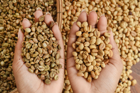 Close up of coffee beans on handの写真素材