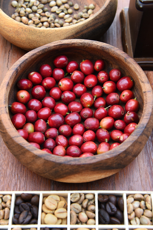 Coffee beans and fresh berries beans backgroundの写真素材