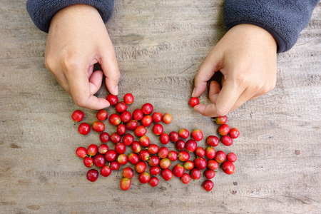 Fresh coffee bean on wooden backgroundの写真素材