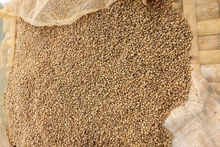 Close up of coffee beans for backgroundの写真素材