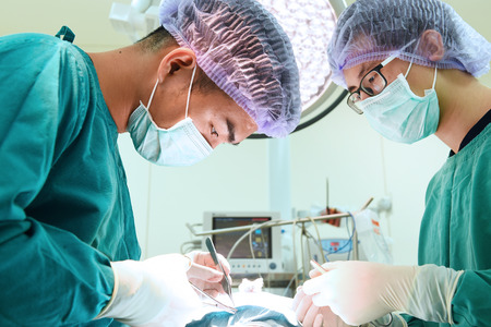 two veterinarian surgeons in operating roomの写真素材