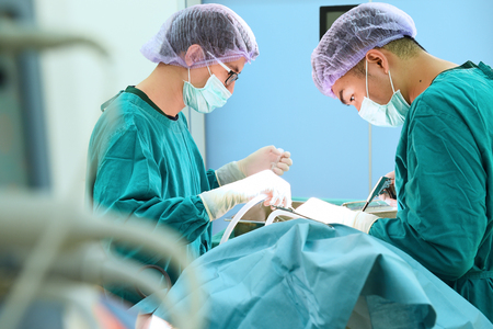 two veterinarian surgeons in operating roomの写真素材
