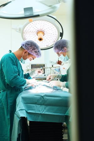 two veterinarian surgeons in operating roomの写真素材