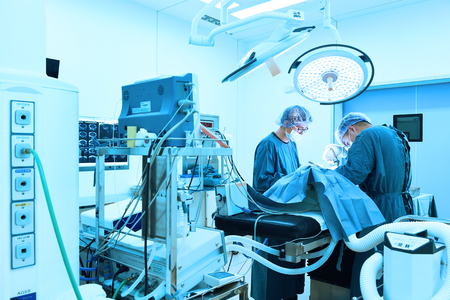 two veterinarian surgeons in operating room take with art lighting and blue filterの写真素材