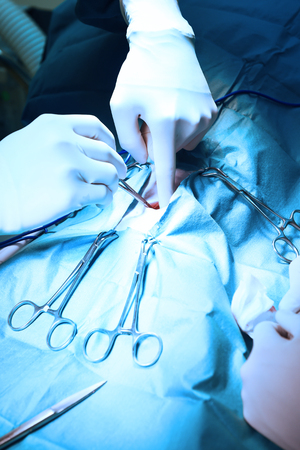 veterinarian surgeons in operating room take with art lighting and blue filterの写真素材
