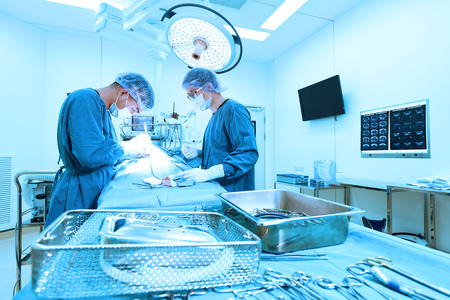 two veterinarian surgeons in operating room take with art lighting and blue filter