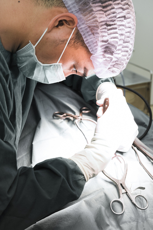 veterinarian surgeons in operating room take with selective color technique and art lightingの写真素材