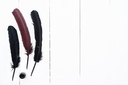 black and brown feather with ink isolated on white backgroundの写真素材
