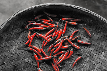 Fresh red chili pepper take with selective color technique and art lightingの写真素材