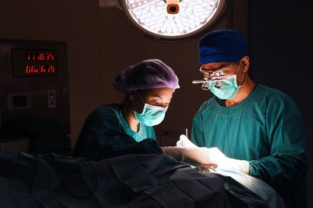 two veterinarian surgeons in operating room