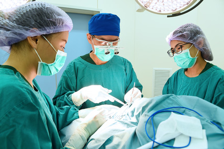 group of veterinarian surgery in operation room
