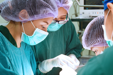 group of veterinarian surgery in operation roomの写真素材