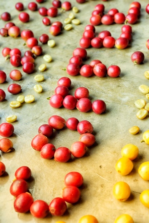 fresh coffee beans before roast for background