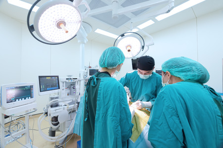 group of veterinarian surgery in operation roomの写真素材