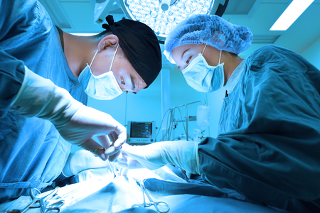 Two of veterinarian surgery in operation room take with art lighting and blue filterの写真素材