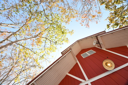 Orange house and tree with blue sky