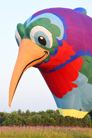 CHIANG RAI, THAILAND FEBRUARY 17, 2018:Singha Park International Balloon Fiesta 2018, take place between February 14th and 18th st Singha Park ,Chiang Rai province ,Thailand.のeditorial素材