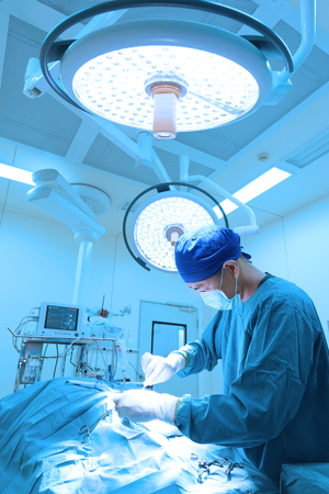veterinarian surgery in operation room take with art lighting and blue filterの写真素材