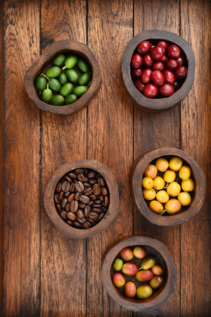 Coffee beans and fresh berries beans on wooden backgroundの写真素材