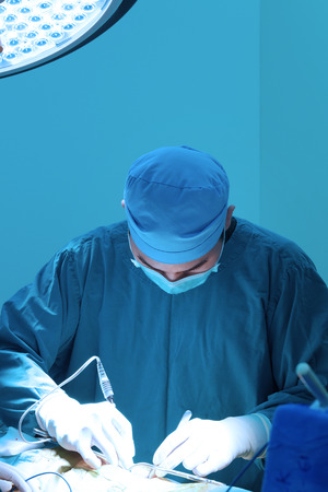 veterinarian surgery in operation room take with art lighting and blue filterの写真素材