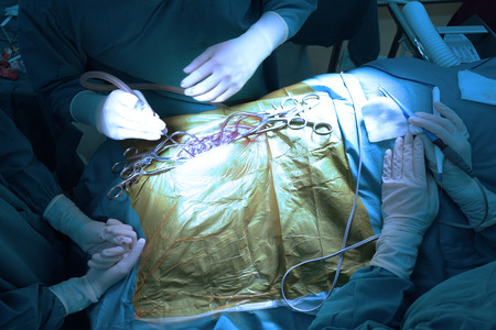 Veterinarian doctor in operation room for laparoscopic surgical take with art lighting and blue filterの写真素材