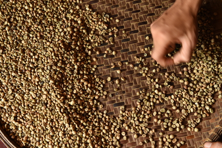 fresh coffee beans before roast for backgroundの写真素材