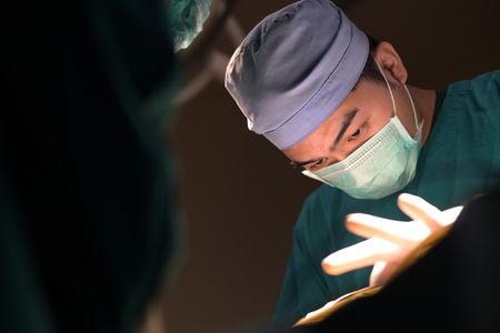 veterinarian surgery in operation roomの写真素材