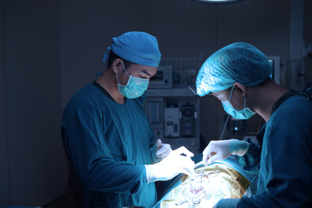 two of veterinarian surgery in operation room take with art lighting and blue filterの写真素材