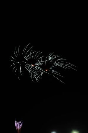 Beautiful firework display on sky at night for celebrationの写真素材