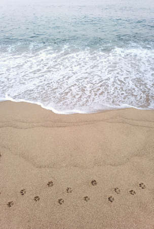 Wave of the sea on the sand beach