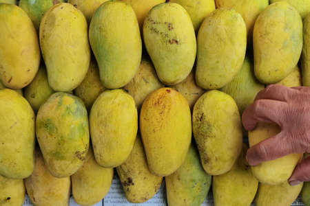 close up of ripe mango for backgroundの写真素材