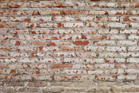 Texture of the brick wallsの写真素材