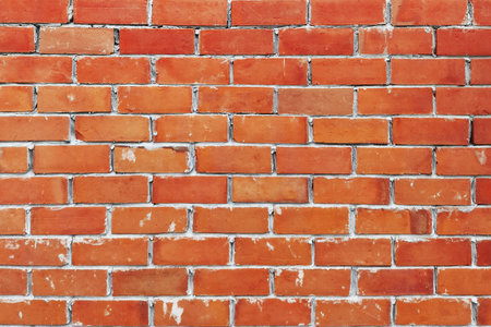 Texture of the brick wallsの写真素材