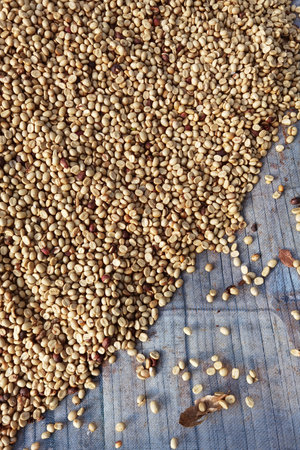 Close up of coffee beans drying in the sunの写真素材