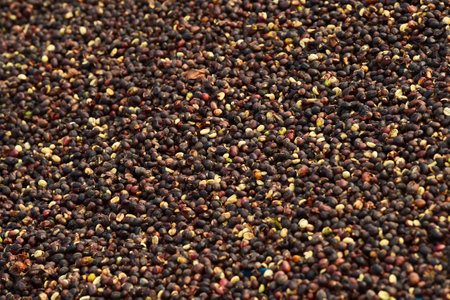 Coffee beans drying in the sun