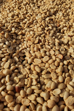 Close up of coffee beans for backgroundの写真素材