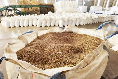 open bag full of raw coffee beans in the background of the warehouseの写真素材