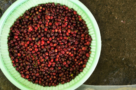 Fresh coffee bean in basketの写真素材