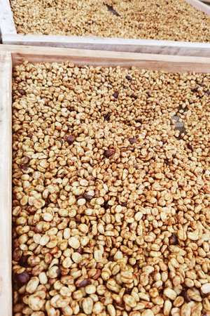 Close up of coffee beans for backgroundの写真素材