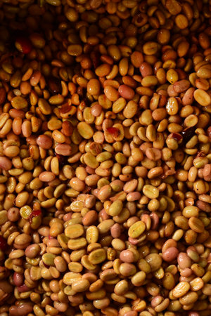 Coffee beans,In the ferment and wash method of wet processingの写真素材