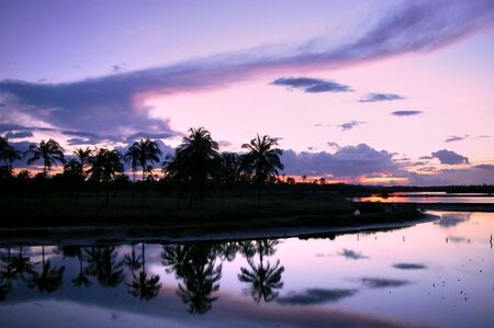 Mirror Sunsetの写真素材