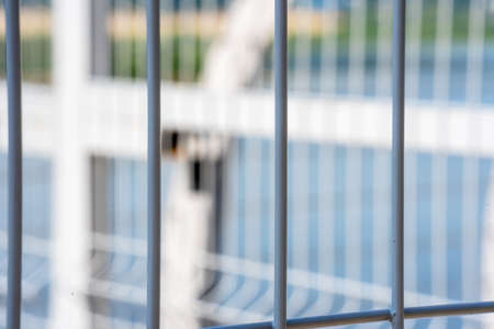 The grid of the metal vertical fence of the park, a summer sunny day, the background is very...