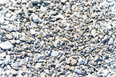 013_ Dry sea pebbles on the shore of a gray beach on a sunny summer day