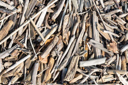Garbage (wood chips) sanded by the sea and thrown on the beach after a storm. Largeの写真素材