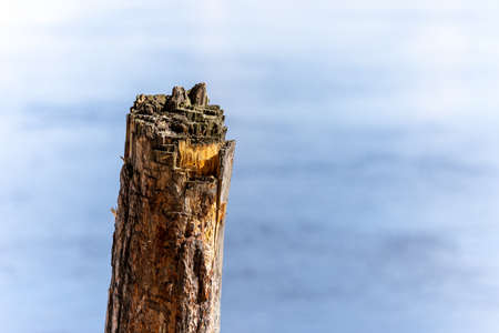 View of a fragment of a broken tree trunk against the background of water, a river on a sunny day. The background is very blurryの写真素材