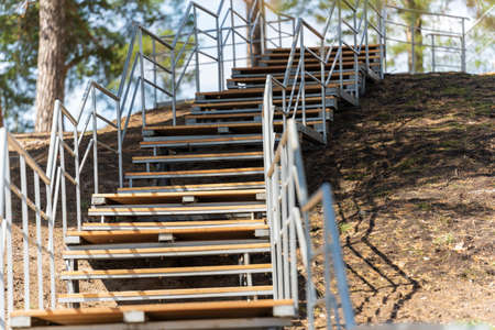 005_Wooden staircase with metal railing in a pine forest on a sunny summer day. Climb the slope.の写真素材