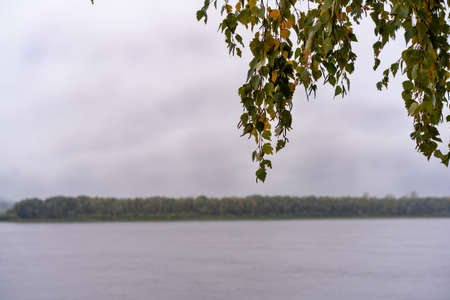 Autumn landscape with a view of the river, a birch branch with green and yellow foliage hanging over the river on a cloudy, rainy dayの写真素材