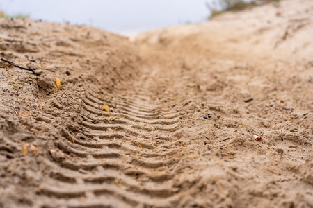 View of the tire track of a car on the wet yellow sand by the river, on a rainy, cloudy autumn day. The background is blurredの写真素材