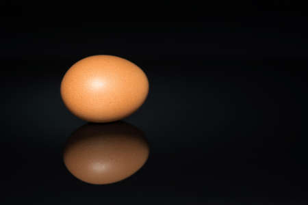 A natural yellow chicken egg lies on its side on a black backgroundの写真素材