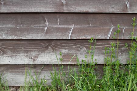 Background brown rustic horizontal board fence with green grass at the bottom grass in the right bottom cornerの写真素材